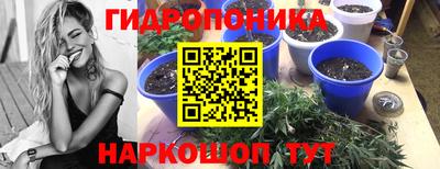 a pvp Нягань