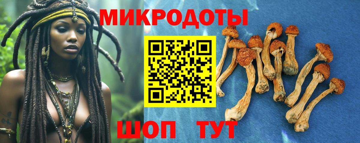 Кокаин  НБОМе  МЕФ кристаллы  Вход с VPN  Экстази  ГАШ  Сланцы  Каннабис 