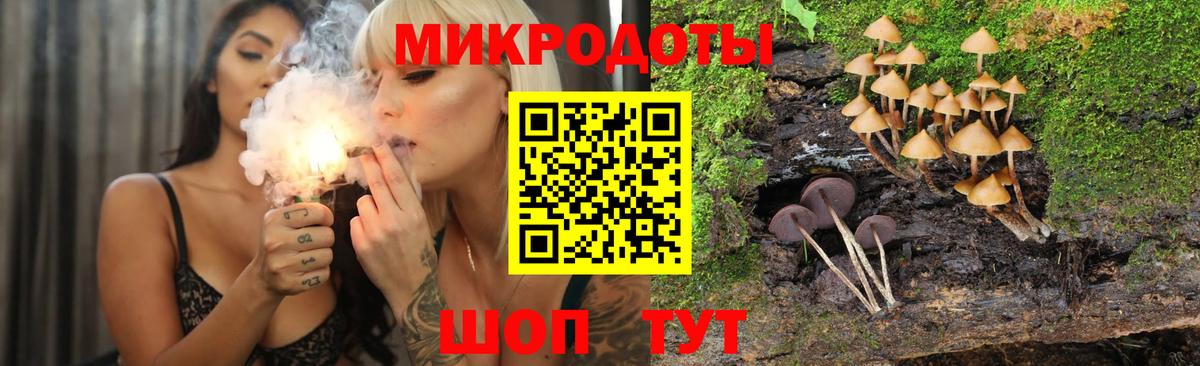 Псилоцибиновые грибы Psilocybe Сланцы