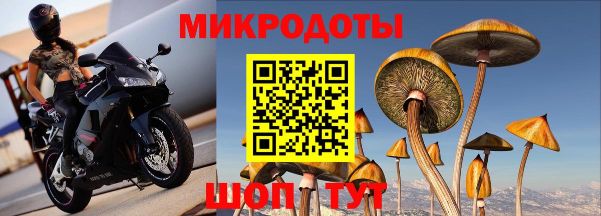 Галлюциногенные грибы Magic Shrooms  Псилоцибиновые грибы Psilocybine cubensis  Вход с VPN  Сланцы 