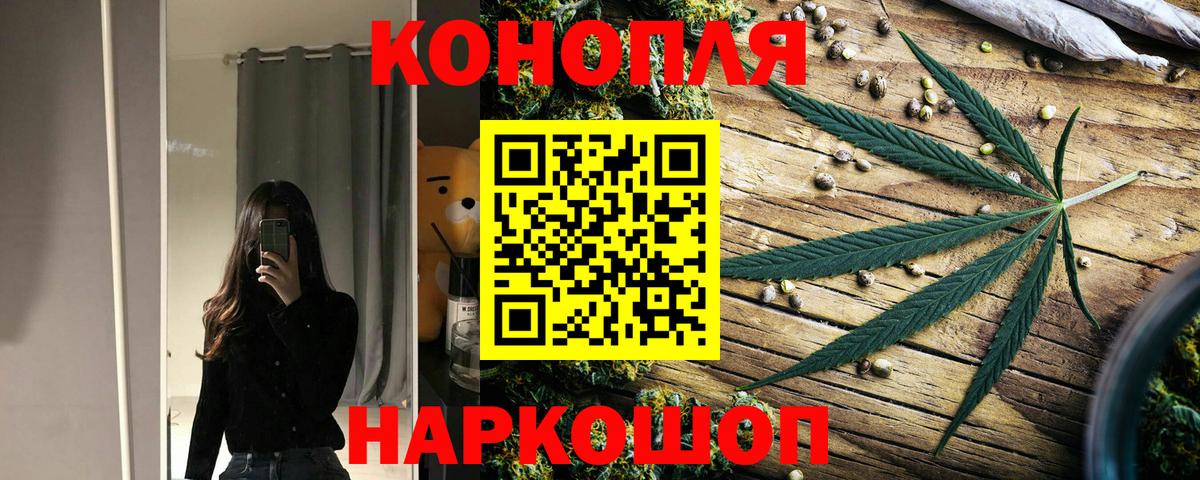 Сланцы  Бошки Шишки OG Kush  Бошки Шишки планчик  Марихуана марихуана  Вход с VPN 